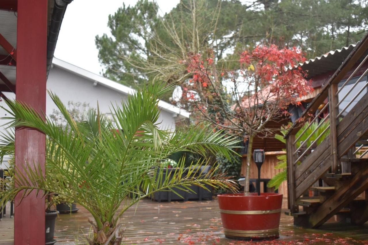 라카노오세앙 Chez Augustin B&B 외부 사진